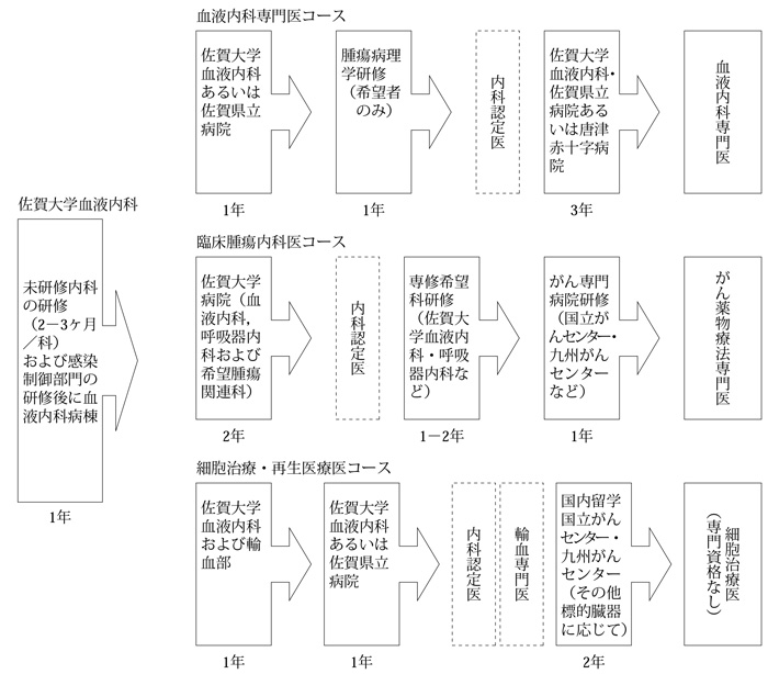 研修コースの概要